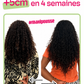 Huile nourrissante et pousse cheveux crépus - Élixir Long hair oil 200ml - Wonderful hair